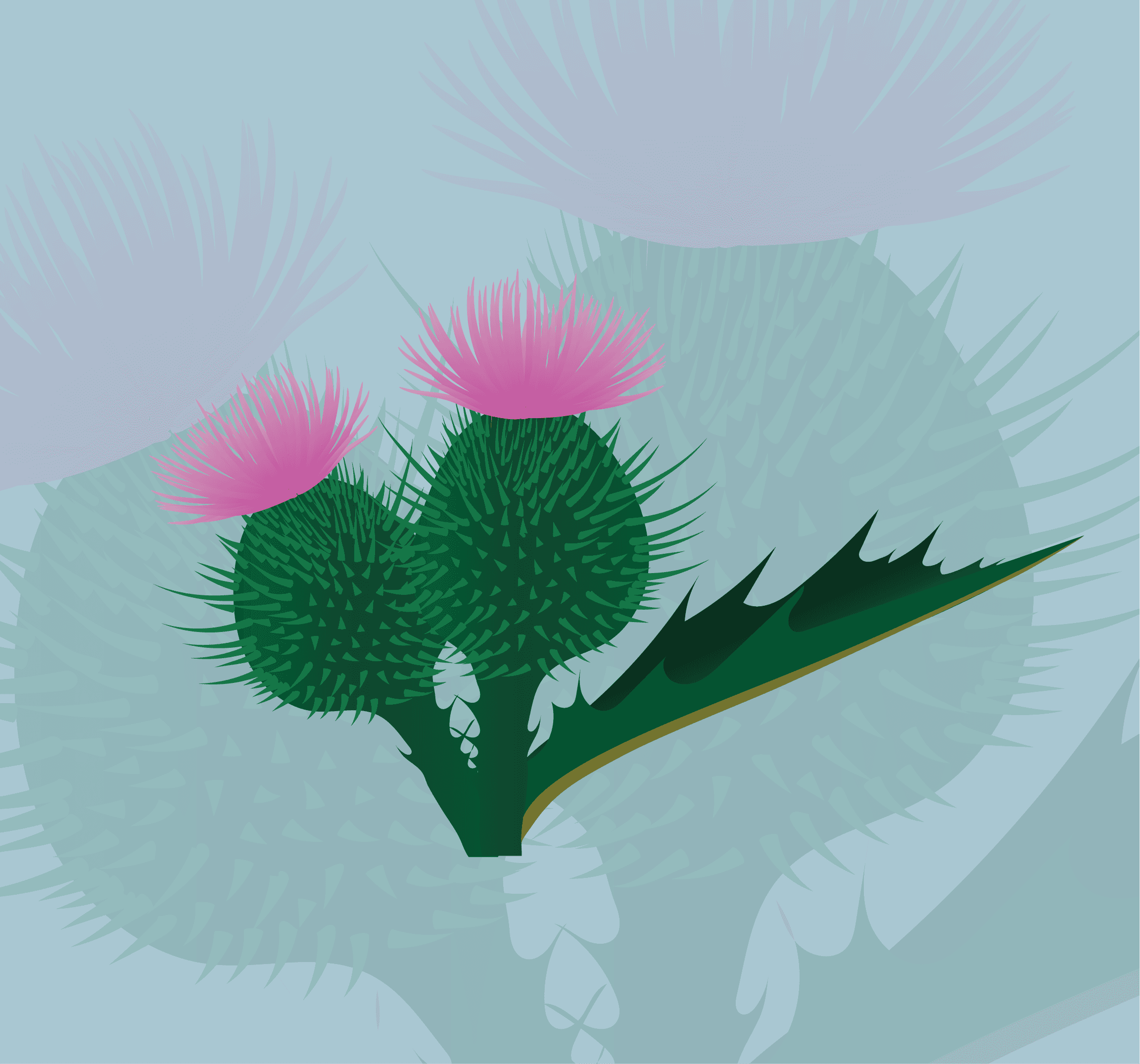 Thistle - Scotland