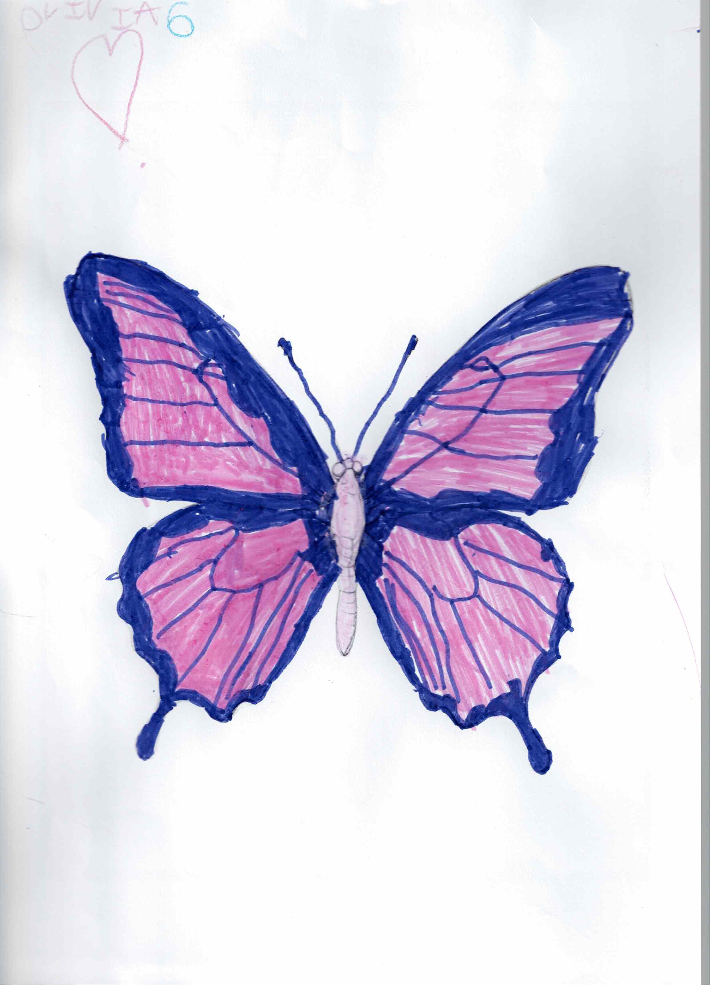 Artwork 4 from the Day of All Pollinators 2026 drawing workshop: mariposa