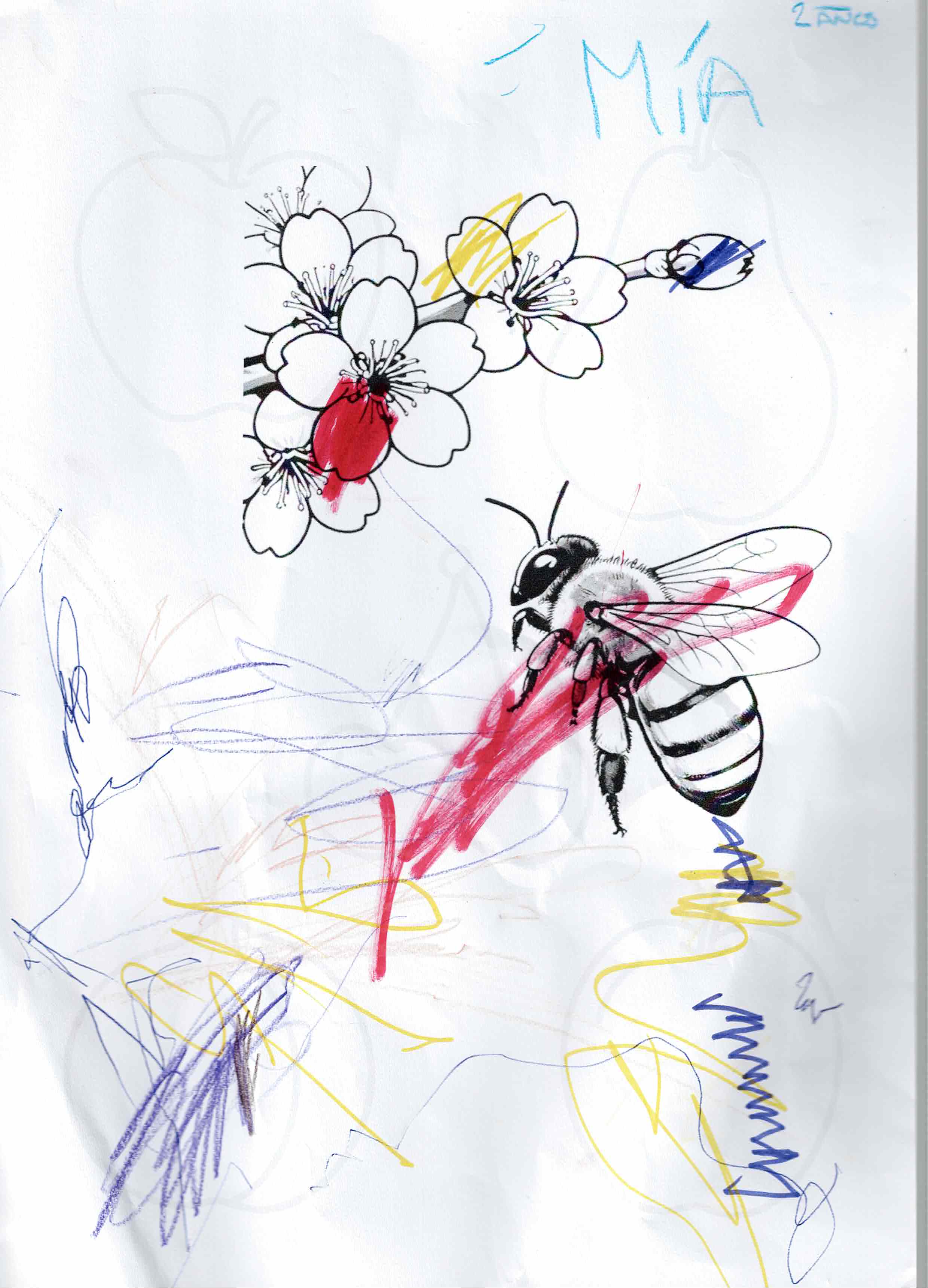 Artwork 7 from the Day of All Pollinators 2026 drawing workshop: abeja y flor de cerezo (obra viva)