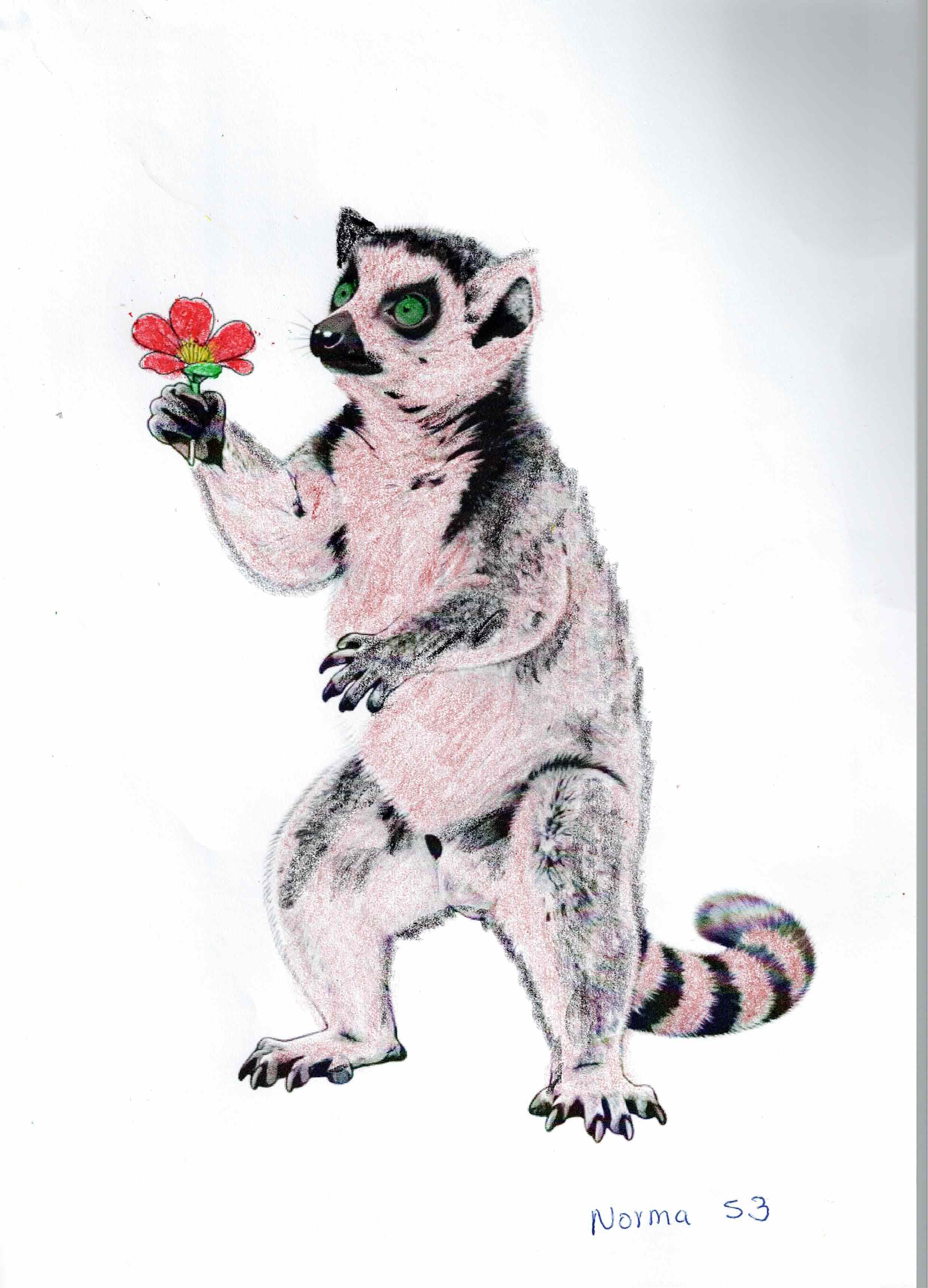 Artwork 9 from the Day of All Pollinators 2026 drawing workshop: lemur con flor