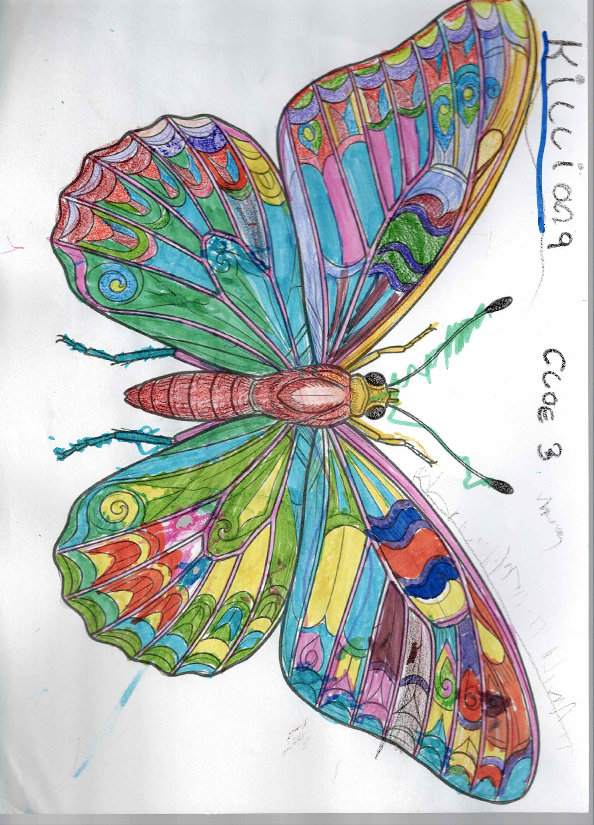 Artwork 10 from the Day of All Pollinators 2026 drawing workshop: mariposa-mandala
