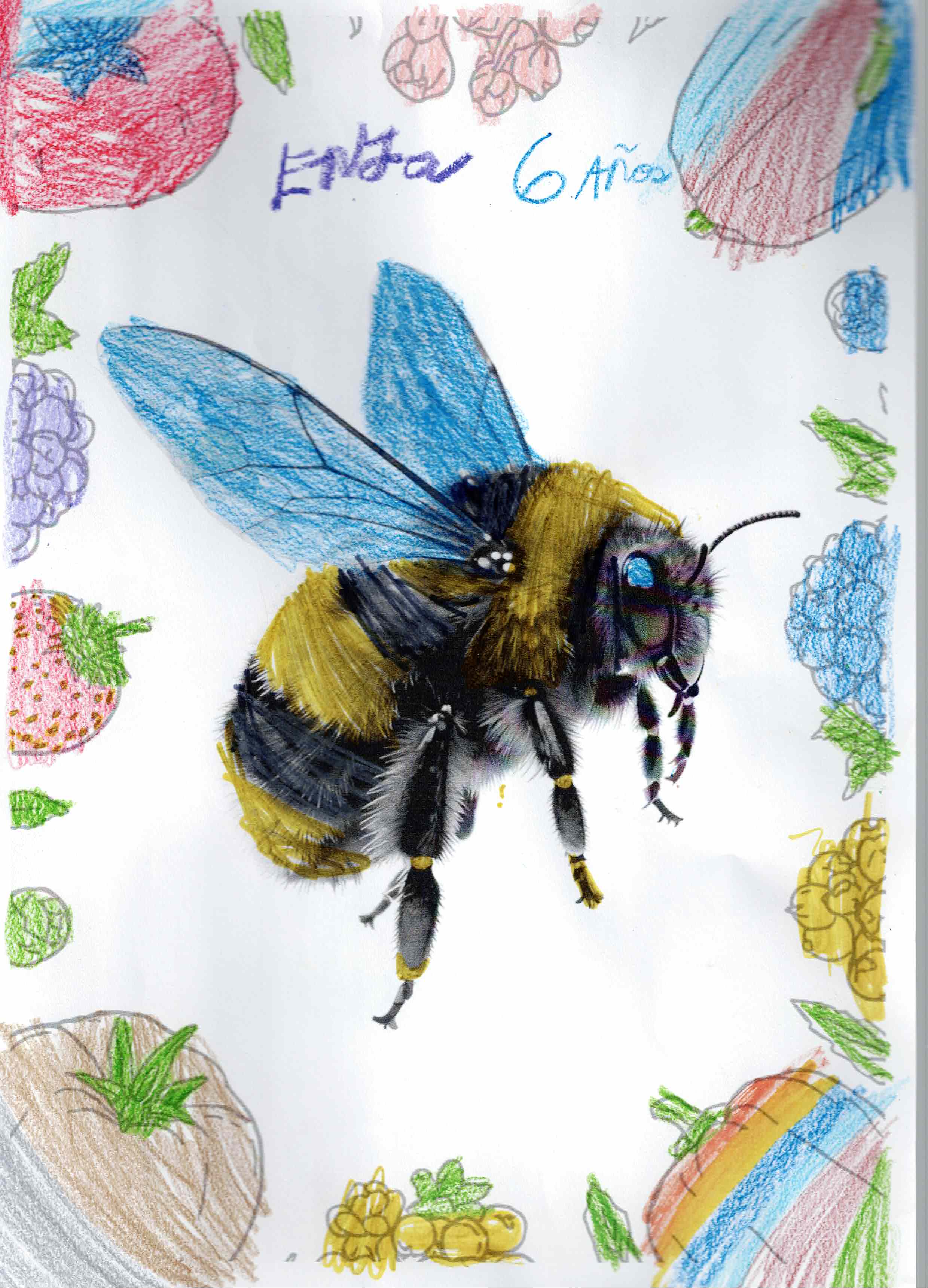 Artwork 16 from the Day of All Pollinators 2026 drawing workshop: abejorro entre frutas