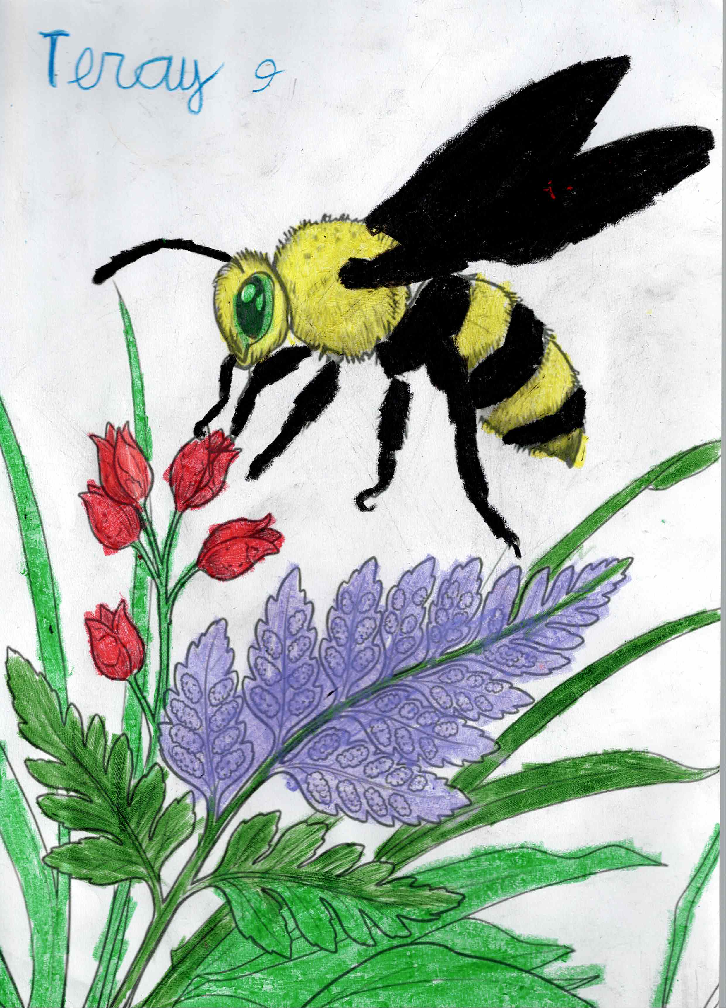 Artwork 19 from the Day of All Pollinators 2026 drawing workshop: abeja sobre flores rojas