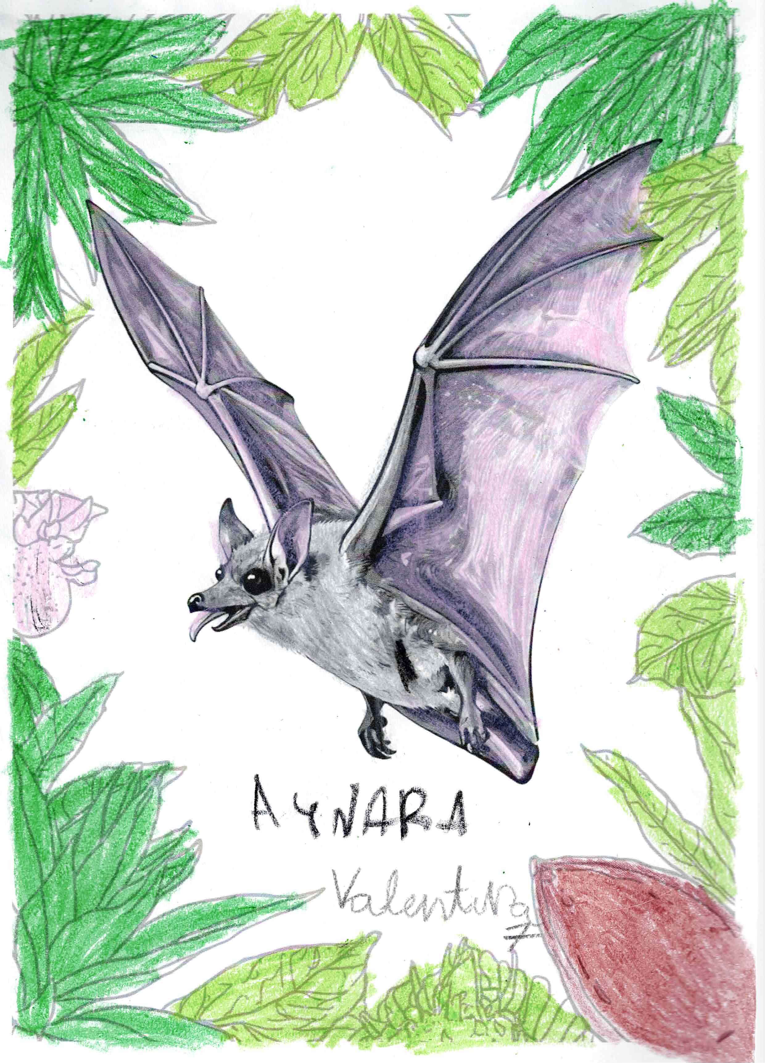Artwork 25 from the Day of All Pollinators 2026 drawing workshop: murcielago entre hojas