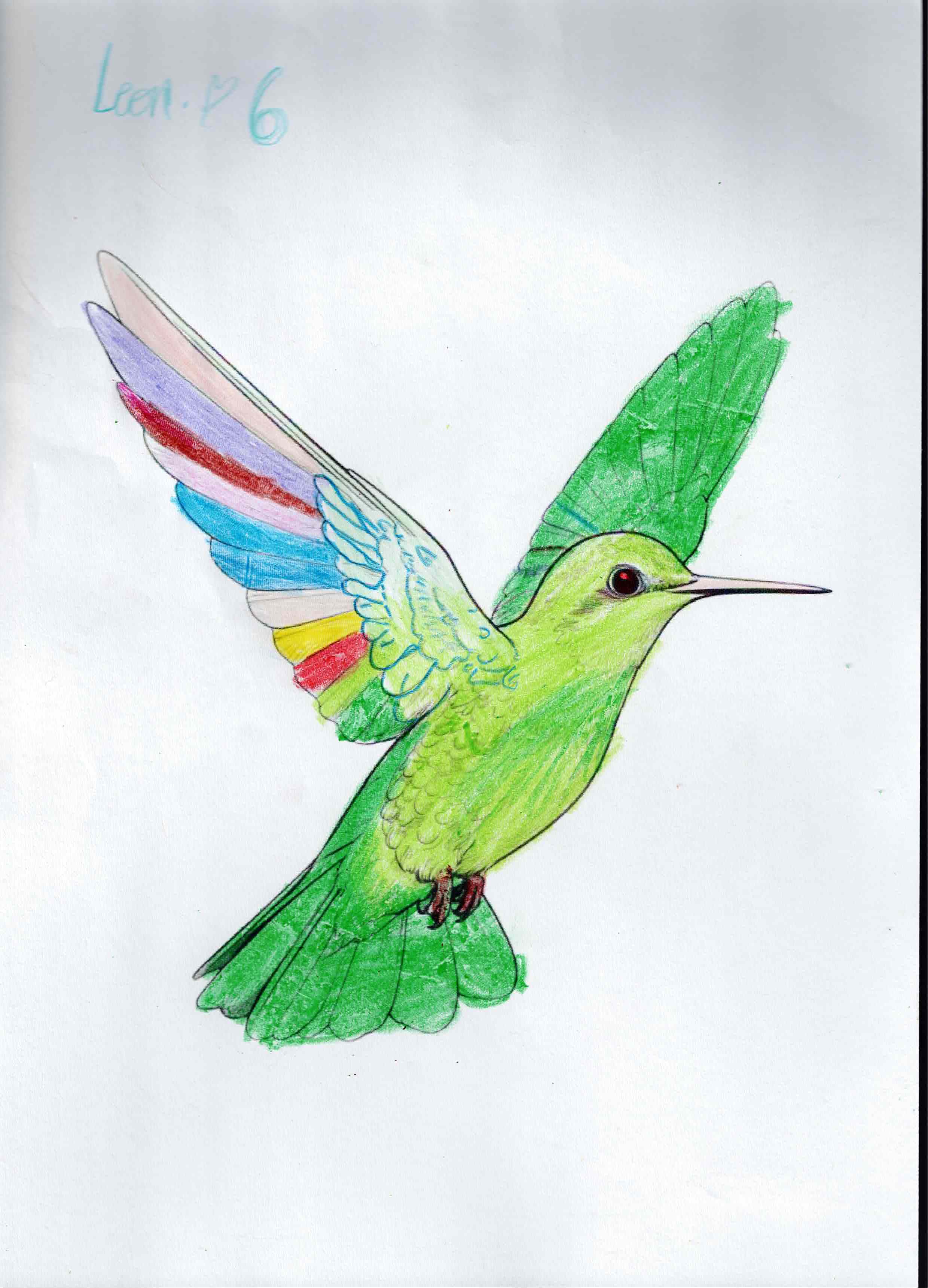 Artwork 35 from the Day of All Pollinators 2026 drawing workshop: colibri