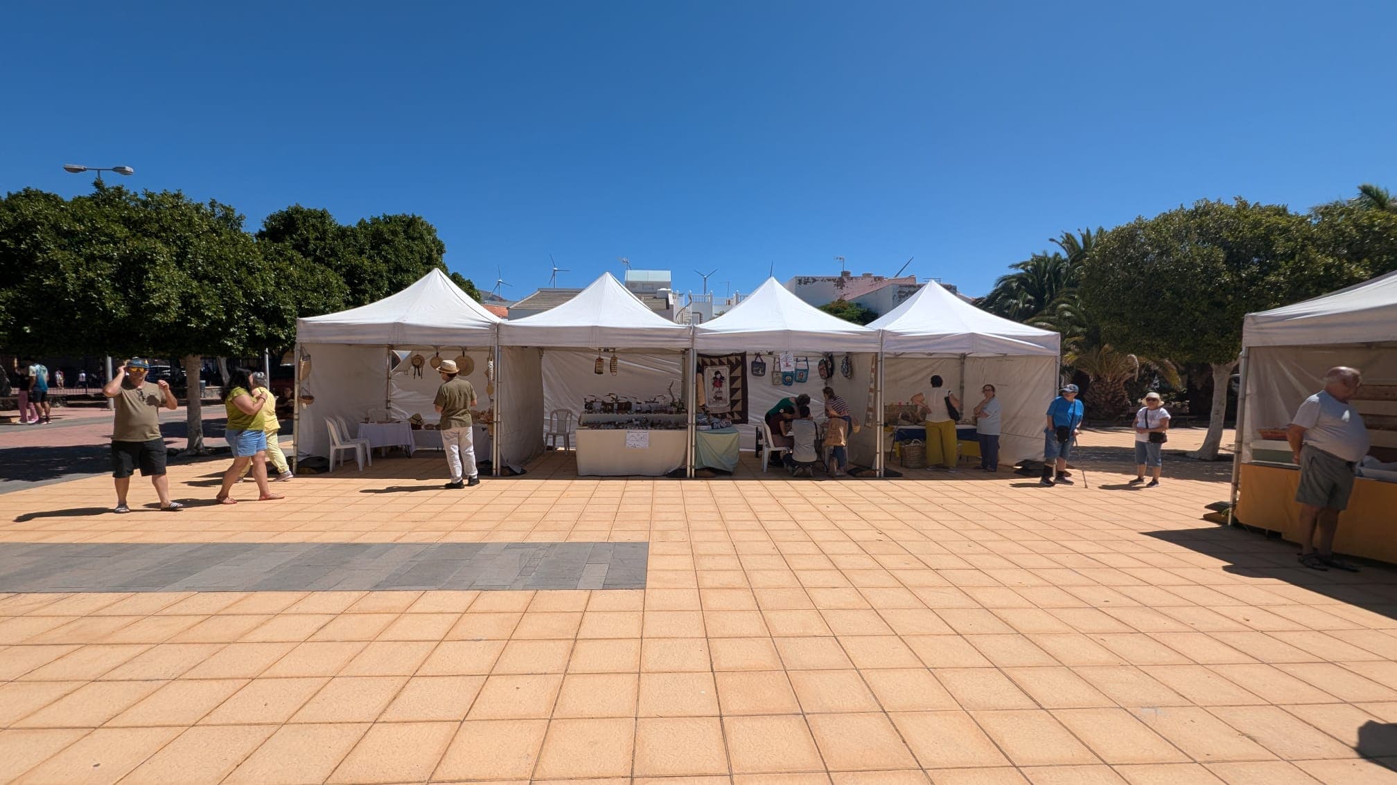 Additional event photo 22 from the Day of All Pollinators 2026 in La Blanca