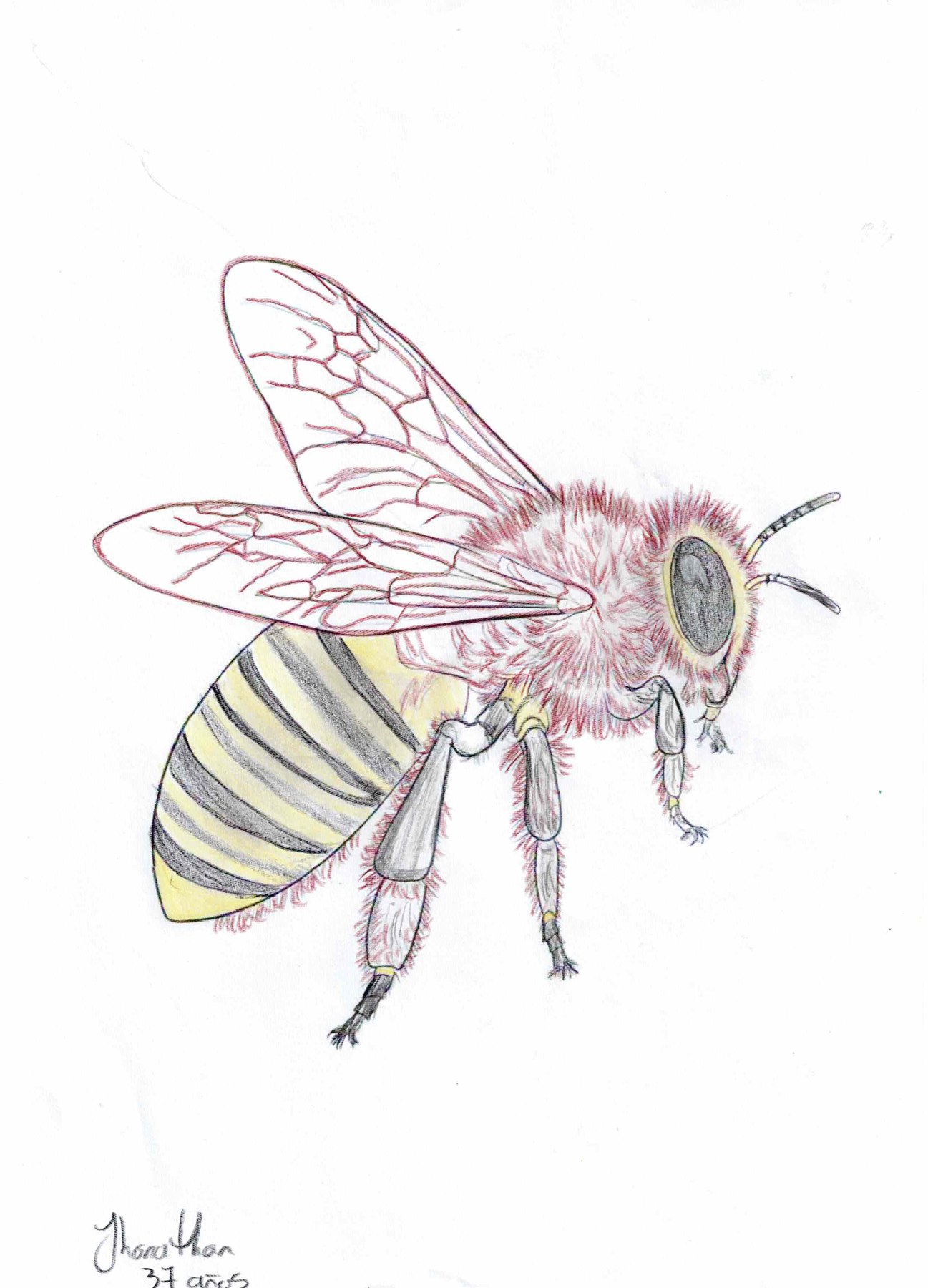 Dibujo solidario en el Mercado del Coleccionismo · 4