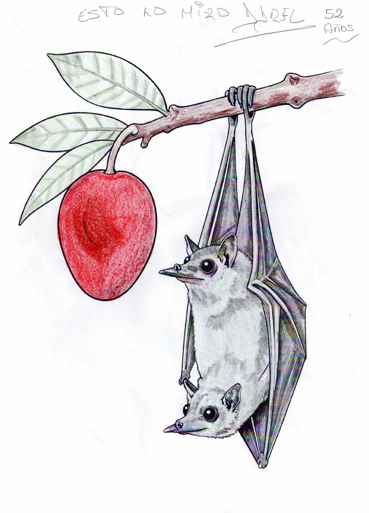 Dibujo solidario en el Mercado del Coleccionismo · 5