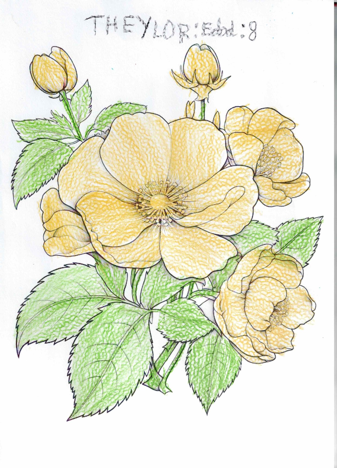 Dibujo solidario en el Mercado del Coleccionismo · 12