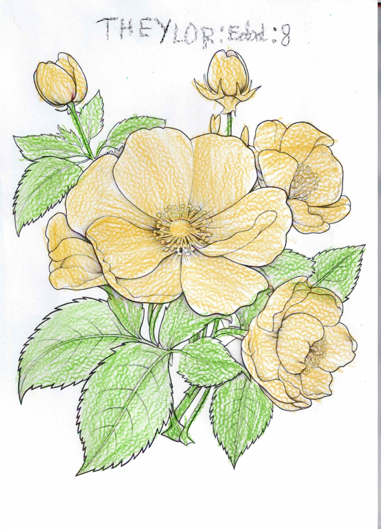 Dibujo solidario en el Mercado del Coleccionismo · 14