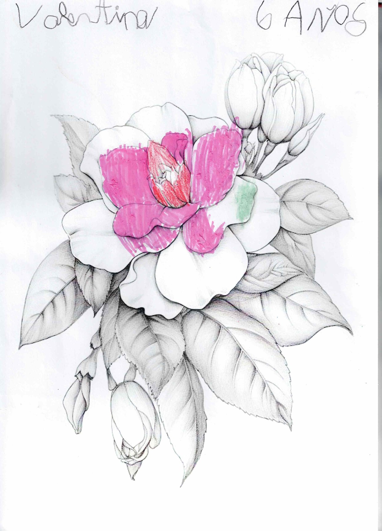 Dibujo solidario en el Mercado del Coleccionismo · 16