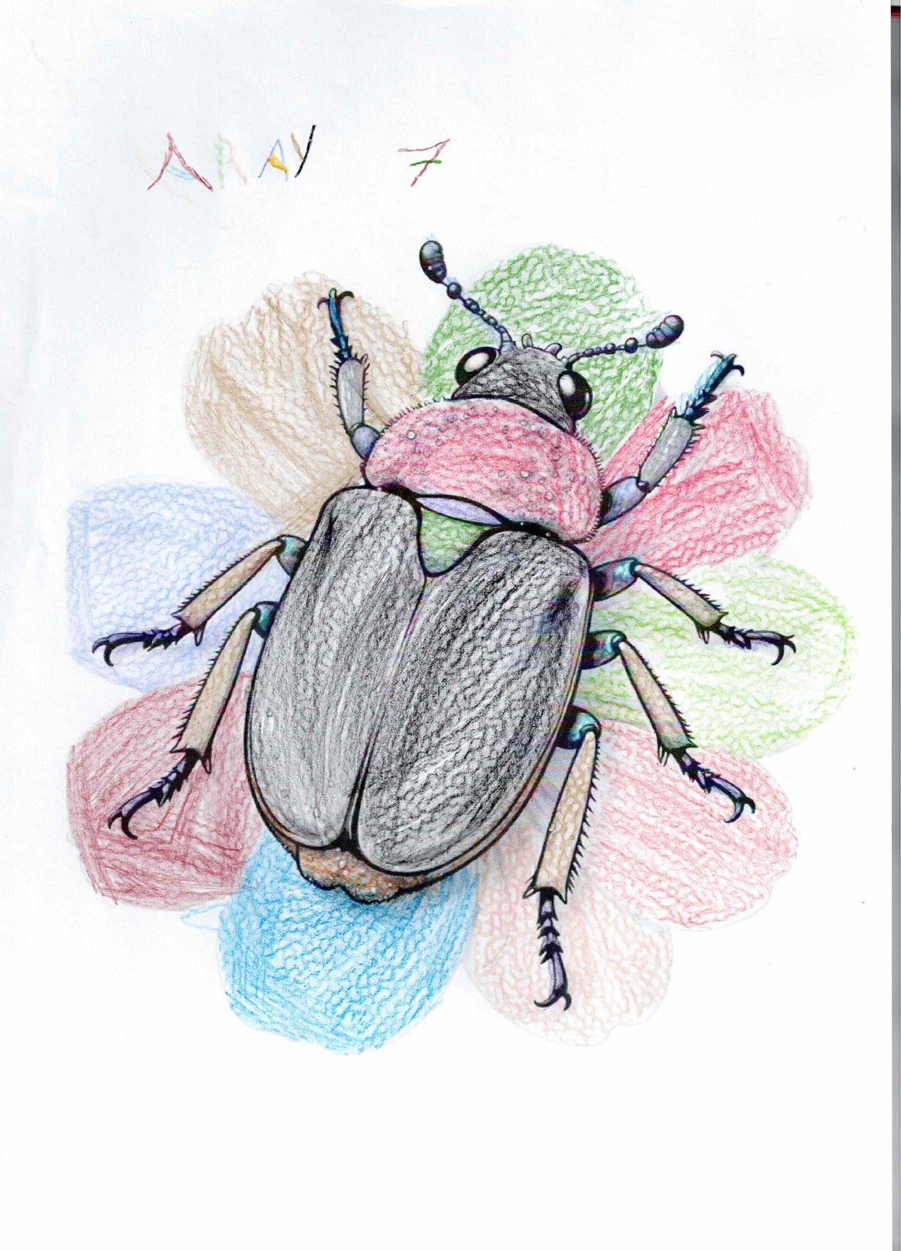 Dibujo solidario en el Mercado del Coleccionismo · 19