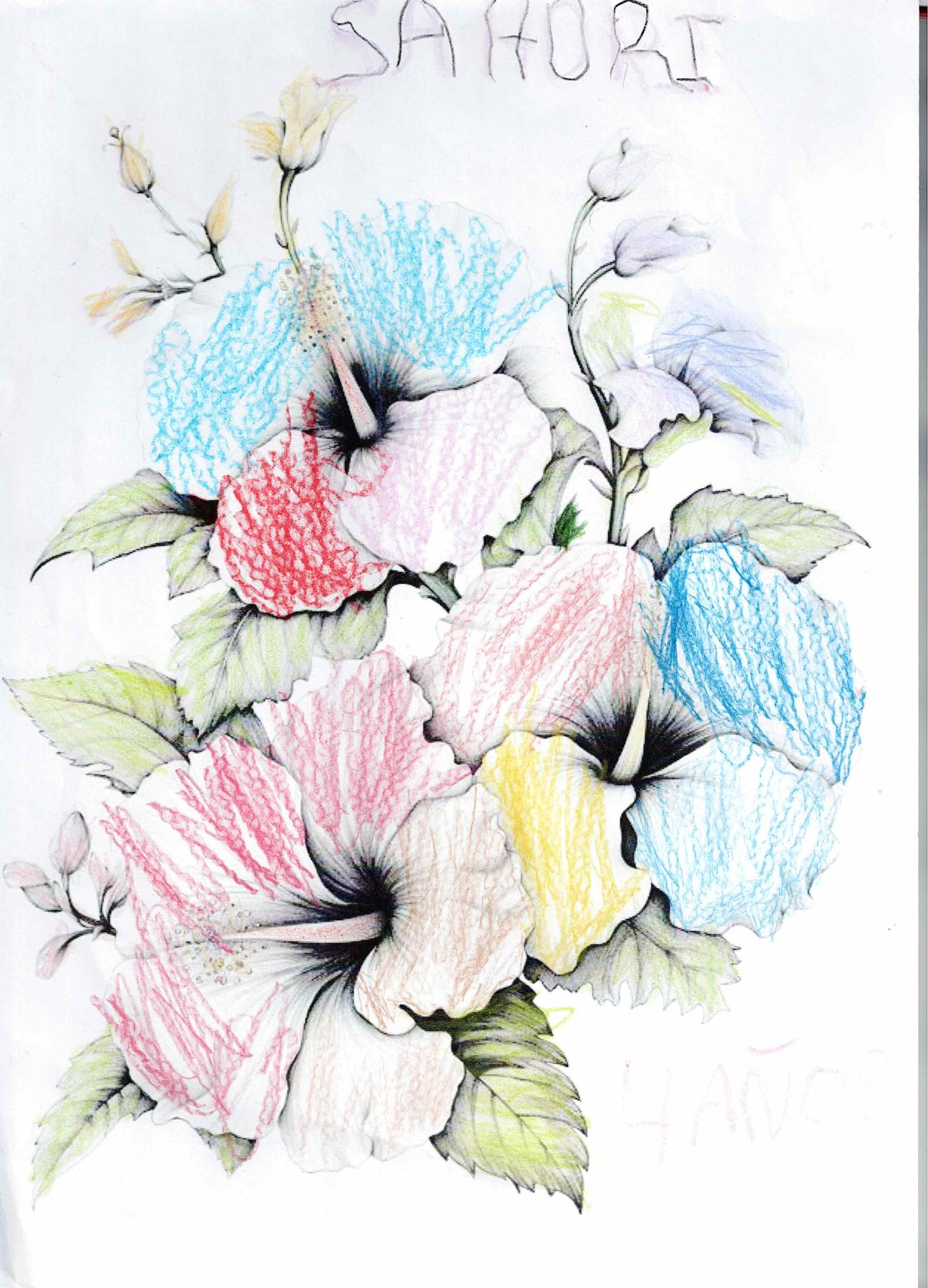 Dibujo solidario en el Mercado del Coleccionismo · 20