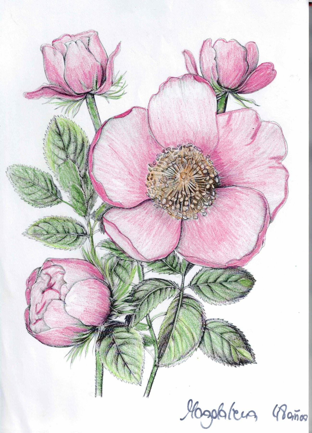 Dibujo solidario en el Mercado del Coleccionismo · 22