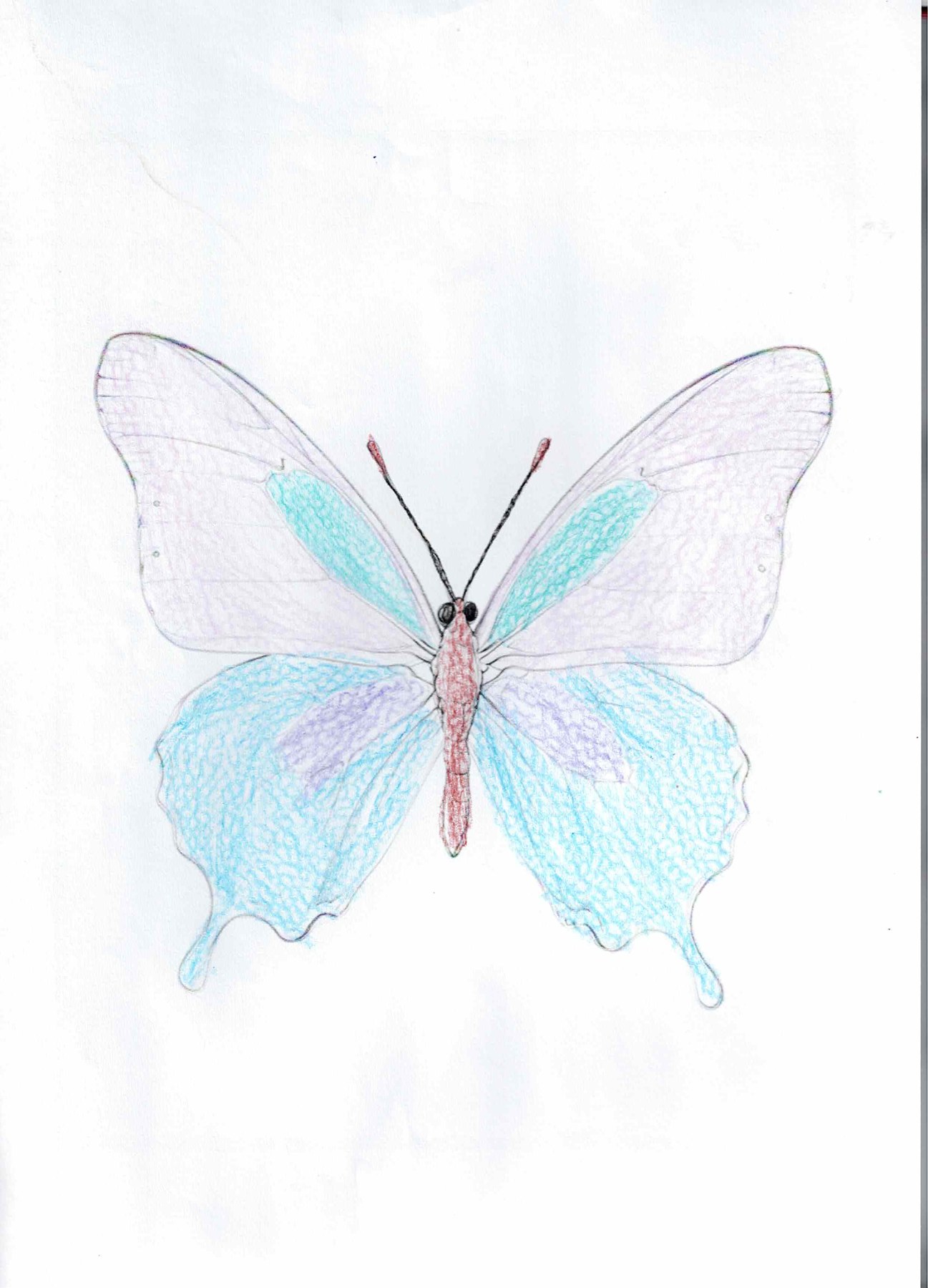 Dibujo solidario en el Mercado del Coleccionismo · 24