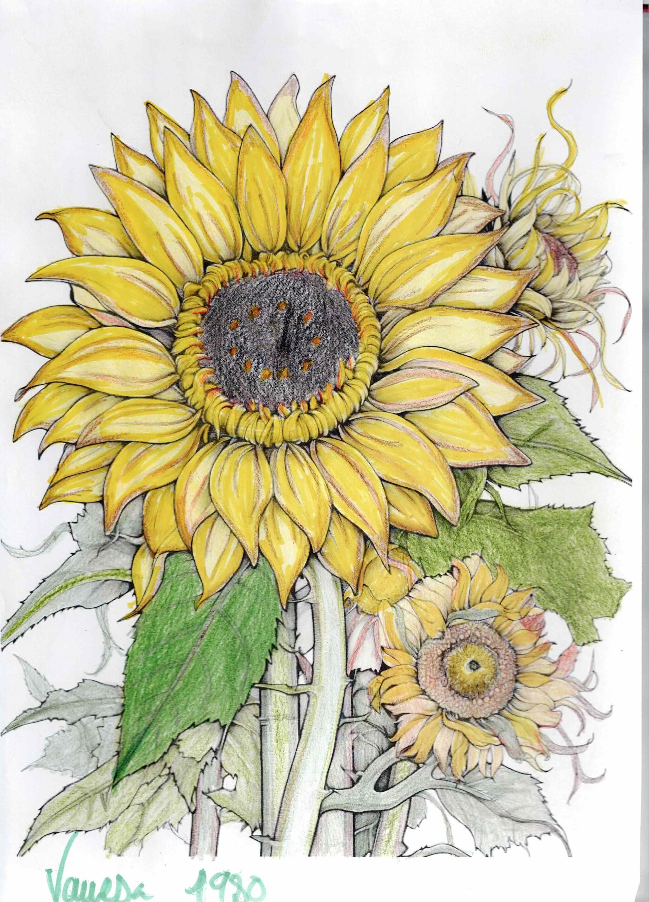 Dibujo solidario en el Mercado del Coleccionismo · 27