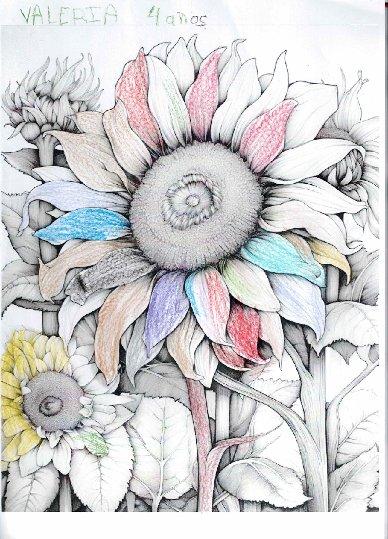 Dibujo solidario en el Mercado del Coleccionismo · 29