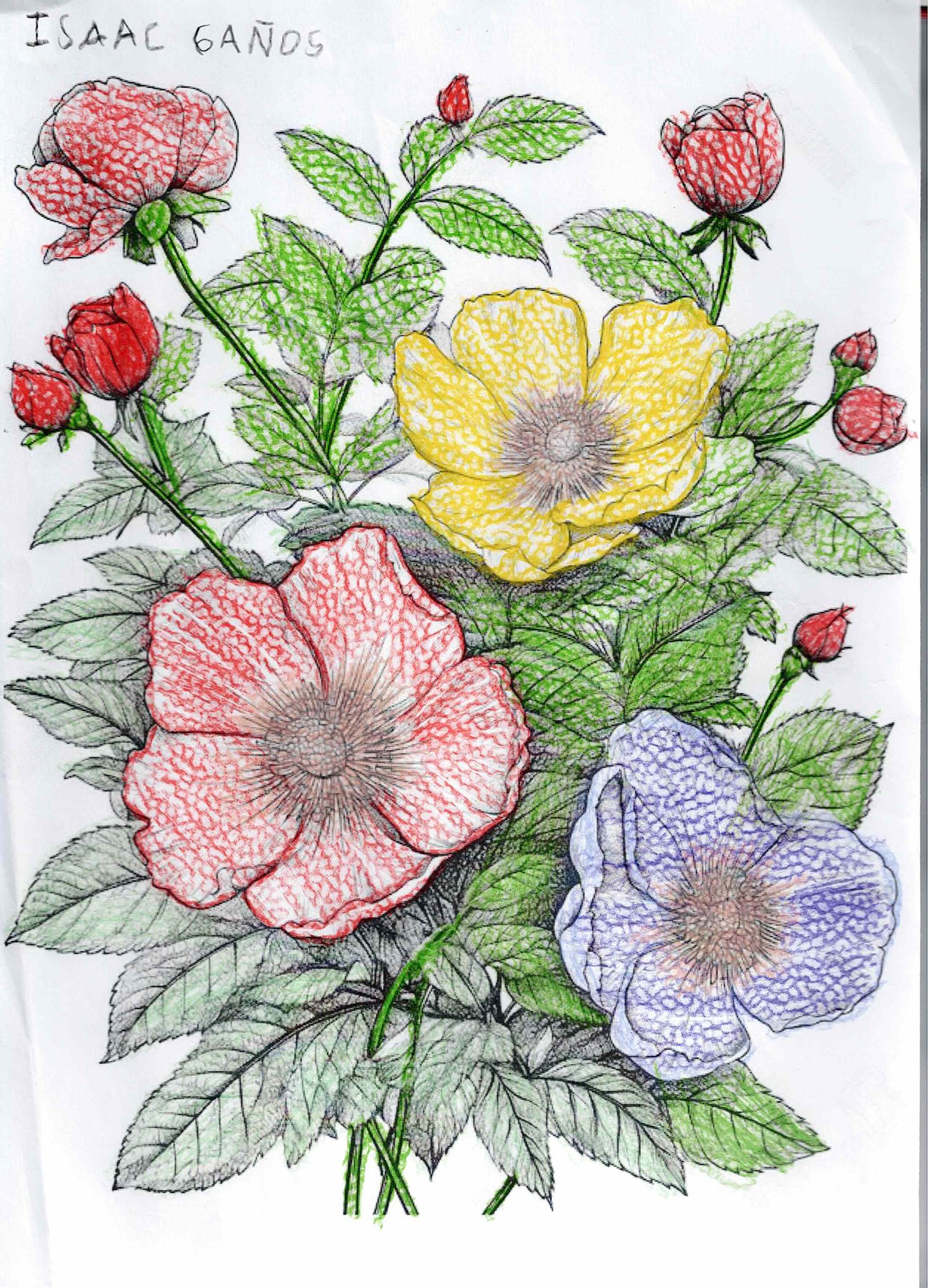 Dibujo solidario en el Mercado del Coleccionismo · 31